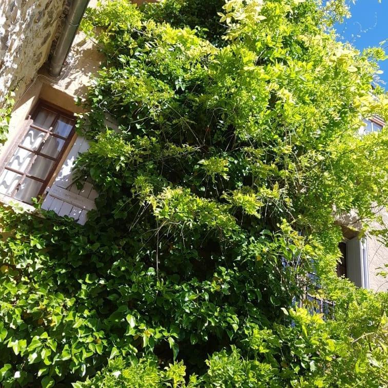 Le Balcon Διαμέρισμα Camps-sur-l'Agly Εξωτερικό φωτογραφία