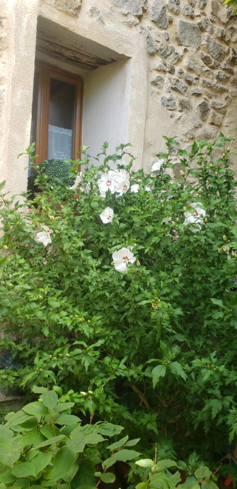 Le Balcon Διαμέρισμα Camps-sur-l'Agly Εξωτερικό φωτογραφία